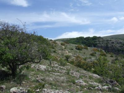 Прикрепленное изображение: DSCF8441.jpg